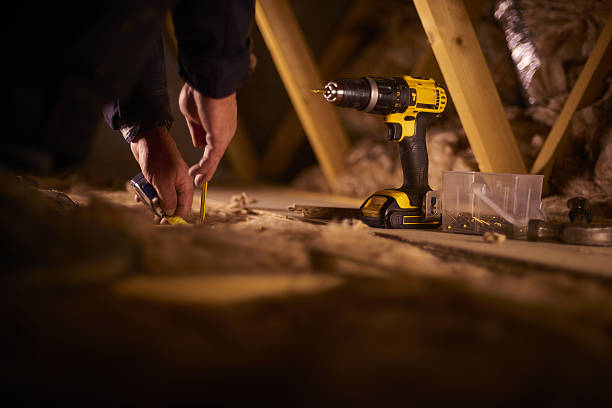 Best Insulation Inspection Services  in Miles, TX